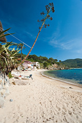 Forno beach, Elba island.