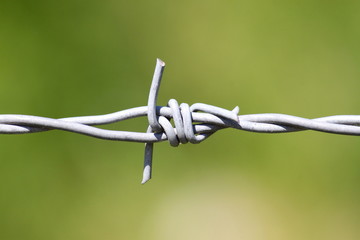 Detail Stacheldraht
