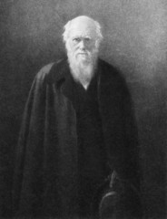 Charles Darwin - obrazy, fototapety, plakaty