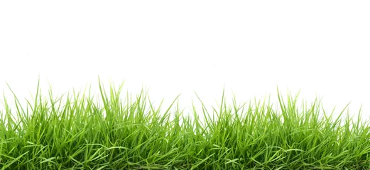 Selbstklebende Fototapete Frühling frisches grünes Gras