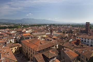 Fototapeta na wymiar Lucca i Torre Guinigi