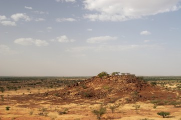 Fototapeta na wymiar Skocznia w afrykańskiej sawanny