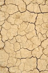 Dry cracked earth background