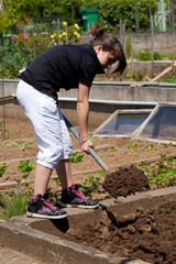 Fototapeta premium cultiver