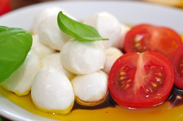 Mozzarellakugel mitTomaten und Basilikum