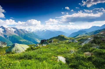 Fototapeten mountain panorama from fiescheralp and bettmeralp, wallis, switz © Peter Wey