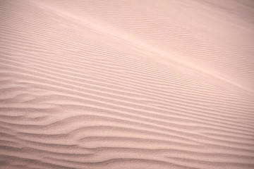 dune sabbiose