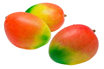 Mango isolated on white background