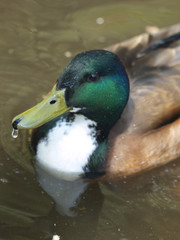 Obraz premium OLYMPUS DIGITAL CAMERA