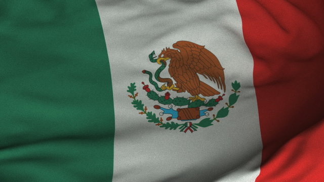 Seamless Waving Mexican Flag with Fabric Texture
