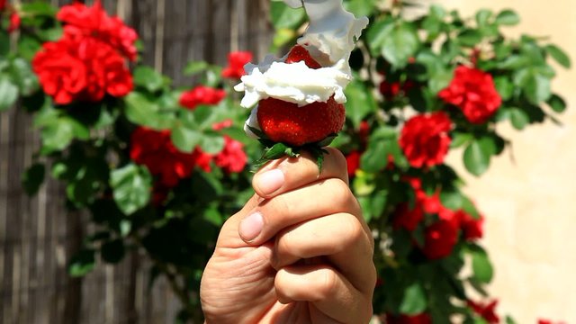 chantilly et la fraise...