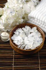 Fototapeta na wymiar Spa treatments. bowl of hydrangea petals, white towel