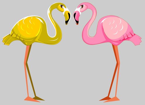 flamingo couple on grey background