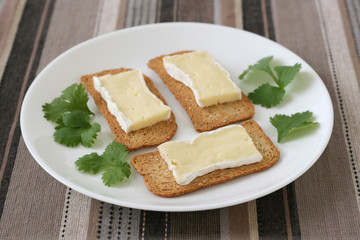 Toasts with cheese camembert