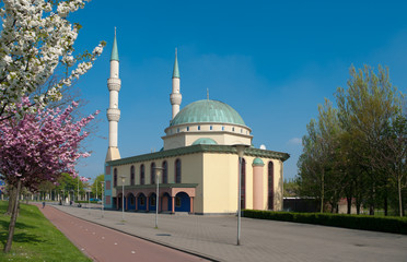 Fototapete bei efototapeten.de bestellen   