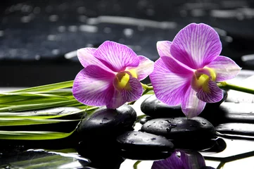 Schilderijen op glas Oosterse spa met orchidee met en groene plant op zenstenen © Mee Ting