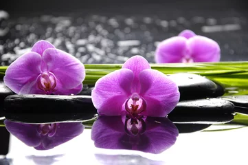 Plexiglas foto achterwand Kuuroordstilleven met reeks roze orchidee en stenenbezinning © Mee Ting