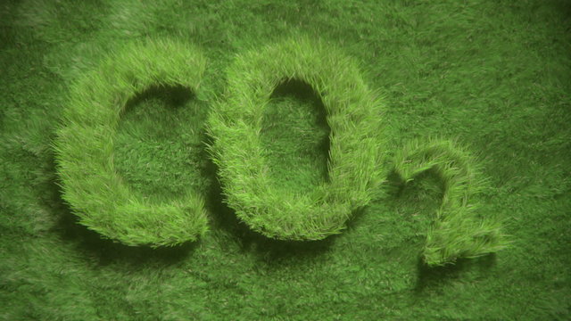 CO2 symbol growing in grass