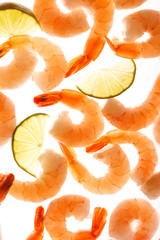 shrimps on the white