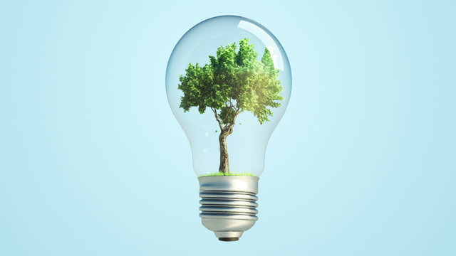 new energy bulb tree loop + alpha