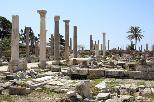 Roman Columns, Tyre, Lebanon