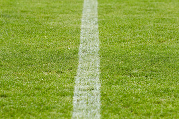 Obraz premium stadium lawn