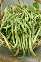 Haricots verts-récolte