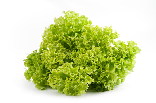 salad on a white background