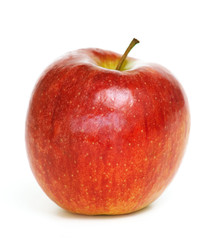 beautiful shiny apple
