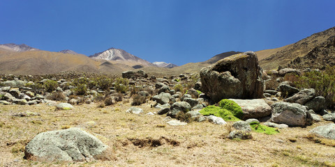 Paysage de l'altiplano argentin: la puna (6000m)
