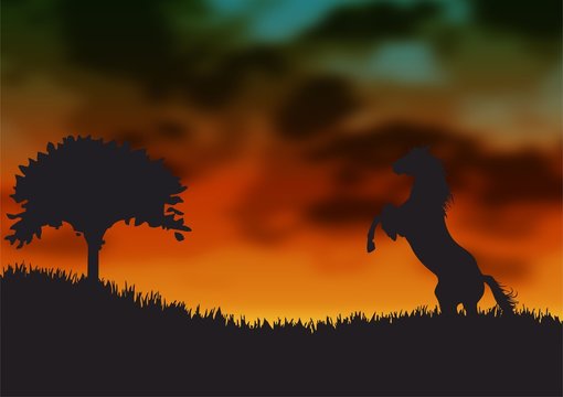 caballo