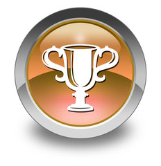 Orange Glossy Pictogram 