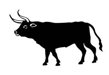 illustration oxen on white background