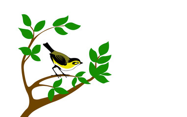 silhouette bird on tree