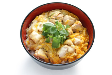 oyakodon , a bowl of rice with chicken and eggs , japanese dish