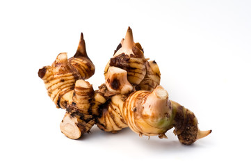 galangal root isolated against a white background