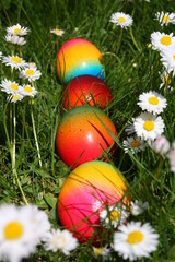 ostereier zwischen gänseblümchen