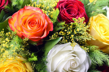 Bouquet of roses