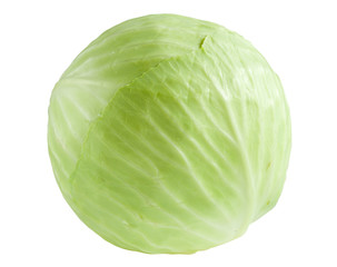 Fototapeta premium Cabbage isolated