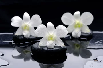 Rolgordijnen Spa Stilleven met mooie witte orchidee op therapiestenen © Mee Ting