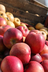 Pommes rouges du marché