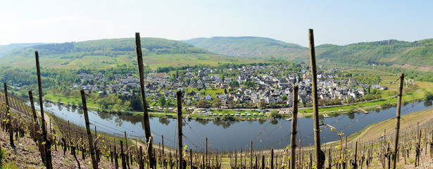 Obraz premium Pünderich an der Mosel
