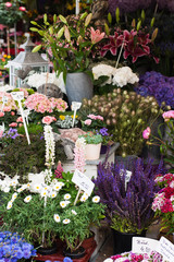 Blumenladen