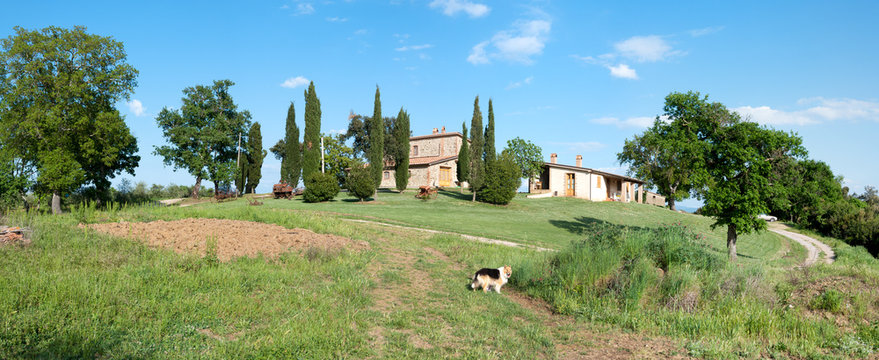 Panoramica di una collina con rustici a Grosseto