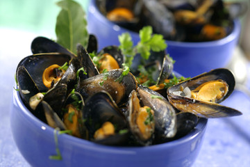 Moules marinières