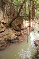 A stream in a tropical jungle