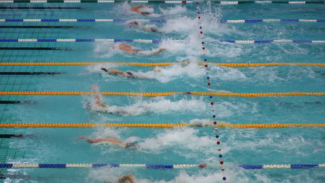 Sportsmen swim on tracks swimming pool