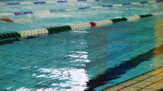 Sportsmen swim on tracks swimming pool