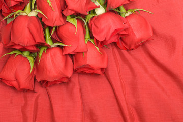 Red roses and silk background