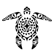 maori turtle